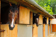 free Ewhurst stable construction quotes